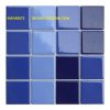 Gạch Mosaic MSG48072